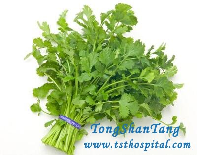 Is Coriander Good for CKD Patients