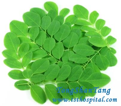 Is Moringa Good for Kidney Disease