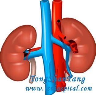 Can A Kidney Heal Itself