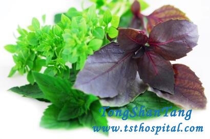How to Shrink the Cysts for PKD Patients