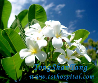 When Can You Stop Dialysis