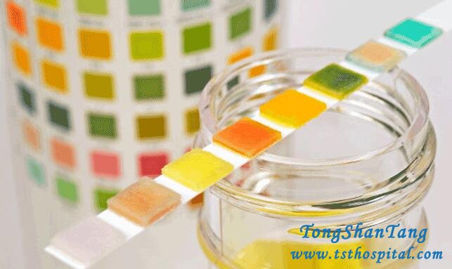 How to Negative Protein Urine 3+ in IgA Nephropathy with Natural Treatment