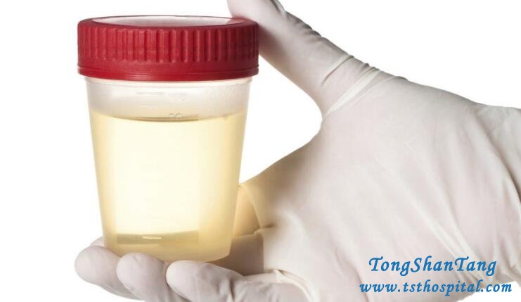 Fail in Reducing Protein in Urine in Nephrotic Syndrome? Maybe Blood Purification Can Help