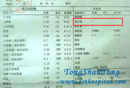Chinese Medicine Treatments Are Effective for IgA Nephropathy