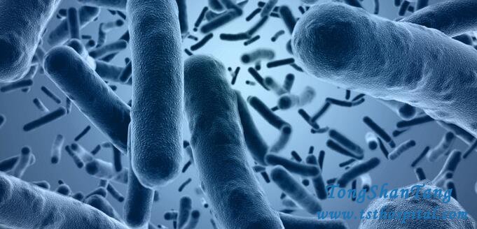 Does Protein In Urine Negative Mean A Cure Of It