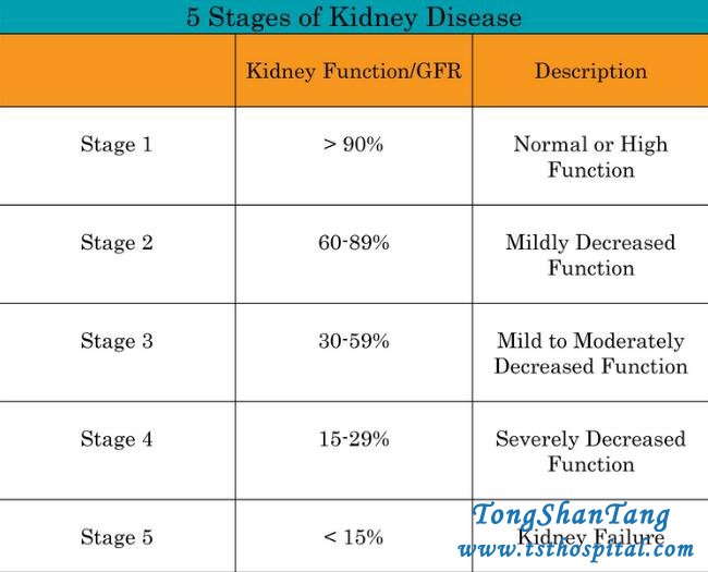ESRD—What Is End Stage Renal Disease and What Treatment Is Suitable