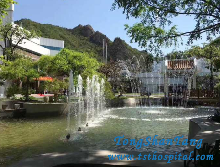 Peking Tung Shin Tang Chinese Medical Hospital