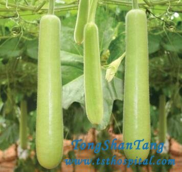 Is Bottle Gourd Good for Kidney