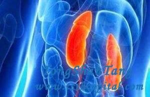 Can Herbal Medicine Cure Edema in FSGS