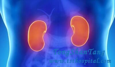 Is A 7cm Kidney Normal