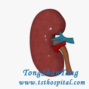 Is There Any Way to Regain My Kidney Function with CKD Stage 5