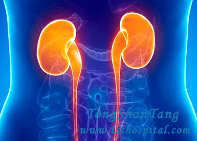 Diabetic with 20% Kidney Function: Is There Any Other Way to Rejuvenate Kidneys