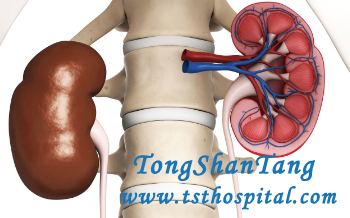 Can Moderate Kidney Disease Be Reversed