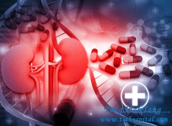 3 Principles of Medicine Prevent Kidney Disease Getting Relapse And Aggravation