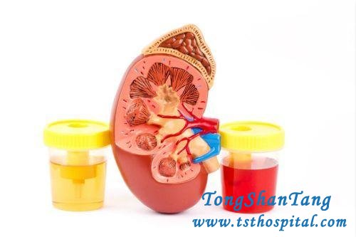7 Types of IgA Nephropathy