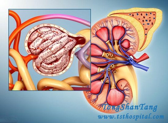 5 Critical Moments Increase the Risk of Kidney Failure