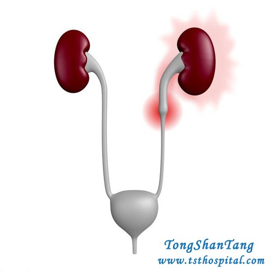 5 Critical Moments Increase the Risk of Kidney Failure