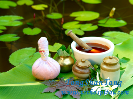 IgA Nephropathy and Creatinine 4: Is It Curable in Ayurveda