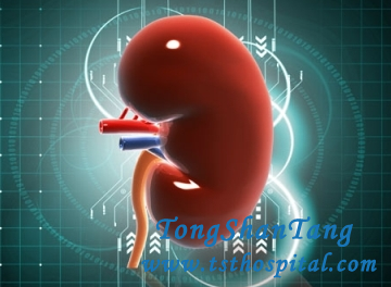 Can We Improve Kidney Size 8cmX 4.5 cm by Medicine