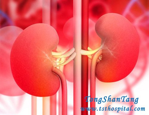 8 Kinds of Kidney Disease Can Be “Cured Clinically”