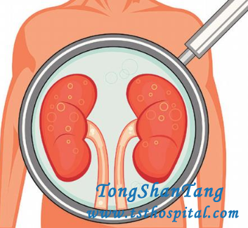 Why Do Kidneys Enlarge with Diabetes