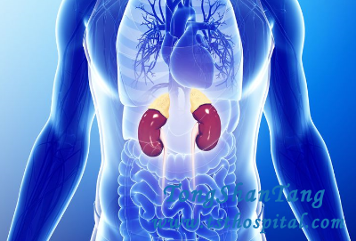 Does It Mean Death If Kidney Transplant Is Not Done After Kidney Failure