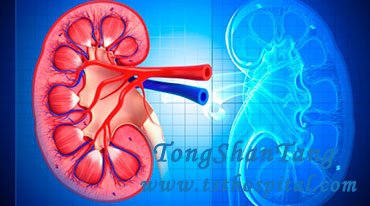Is Dialysis Last Option for Kidney Failure Patients
