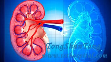 Is Dialysis Last Option for Kidney Failure Patients