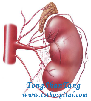 Kidney Failure and High Blood Pressure: How to Treat