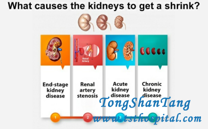 If Kidney Becomes Small in Size, What Does It Mean