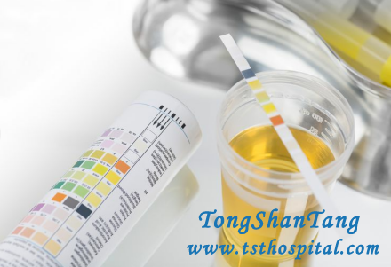 12 Methods to Lower Proteinuria